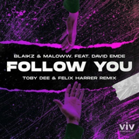 BLAIKZ & MALOWW. FEAT. DAVID EMDE - FOLLOW YOU (TOBY DEE & FELIX HARRER REMIX)